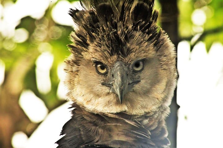 5-Day Amazon Camping and Kayaking in Yasuni National Park, Ecuador photo 3