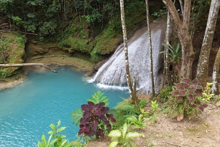 Blue Hole and Konoko Falls Private Tour: Ocho Rios Waterfalls & Rainforest Hike photo 4