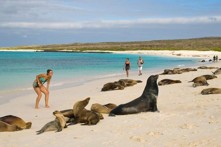Galapagos Island Hopping: 5-Day Santa Cruz & San Cristobal Wildlife Tour