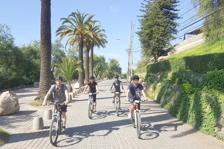 Conquer San Cristóbal: Private Bike Tour of Santiago's Metropolitan Park photo 2