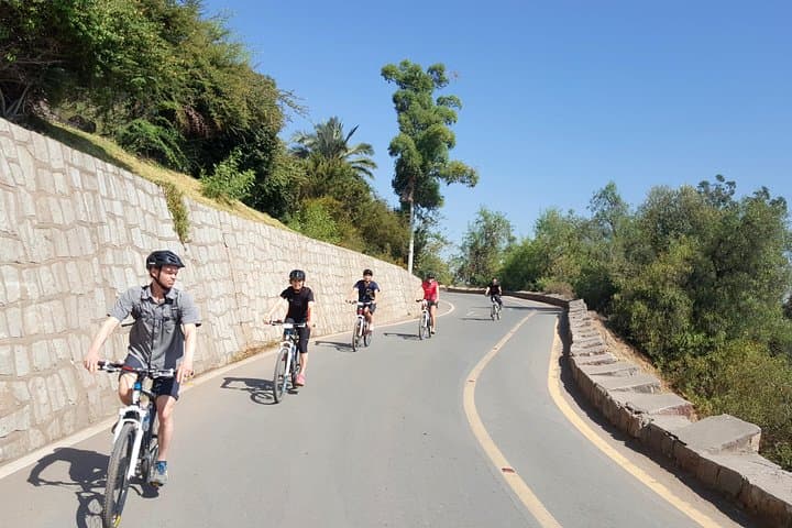 Conquer San Cristóbal: Private Bike Tour of Santiago's Metropolitan Park photo 5