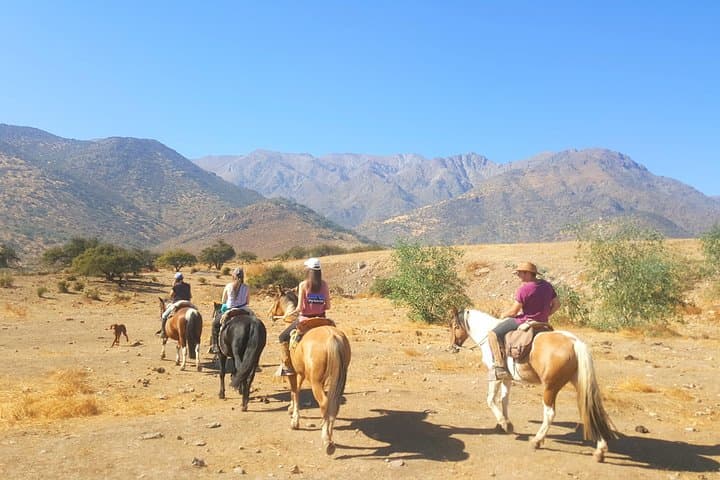 Horseback Riding in the Andean Foothills from Santiago — 3-Hour Guided Ride & Picnic