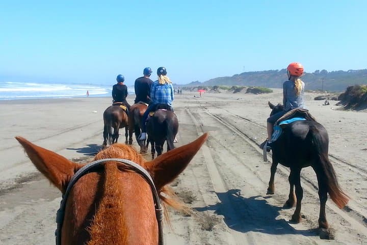 Coastal Horseback Ride and Valparaiso Day Tour from Santiago photo 3