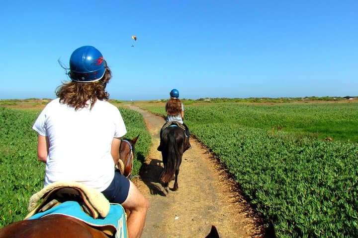Coastal Horseback Ride and Valparaiso Day Tour from Santiago photo 4