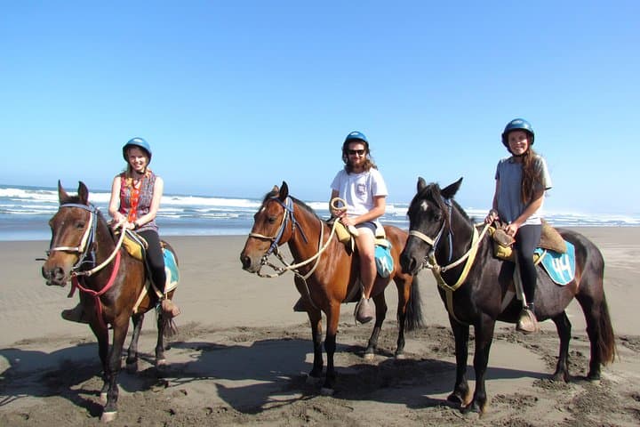 Coastal Horseback Ride and Valparaiso Day Tour from Santiago photo 1