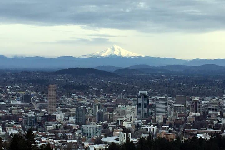 Discover Portland: Half-Day Small-Group Tour to Pittock Mansion & Rose Garden photo 2
