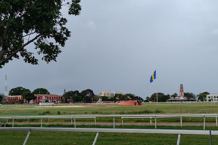Historic Garrison Walking Tour & Barbados Museum — Military Life in Bridgetown photo 3