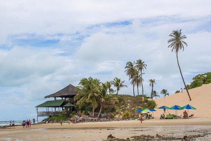 Genipabu Beach Tour from Natal — Dunes, Buggy Rides & Lagoon Bath photo 2