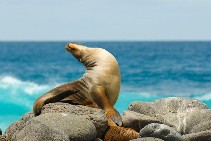6-Day Galapagos Adventure: Santa Cruz & Isabela Islands