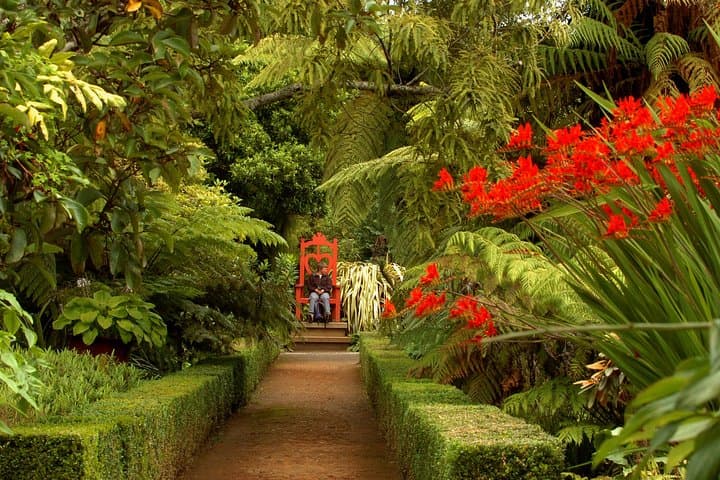 Larnach Castle & Gardens Tour from Dunedin — Otago Peninsula Day Trip photo 4