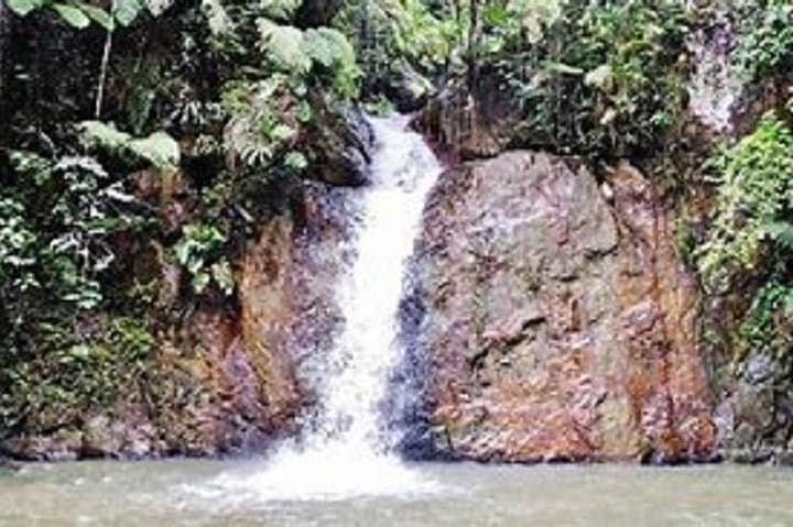 Fraser's Hill Day Trip from Kuala Lumpur: Waterfalls, Trails & Tudor Cottages photo 2