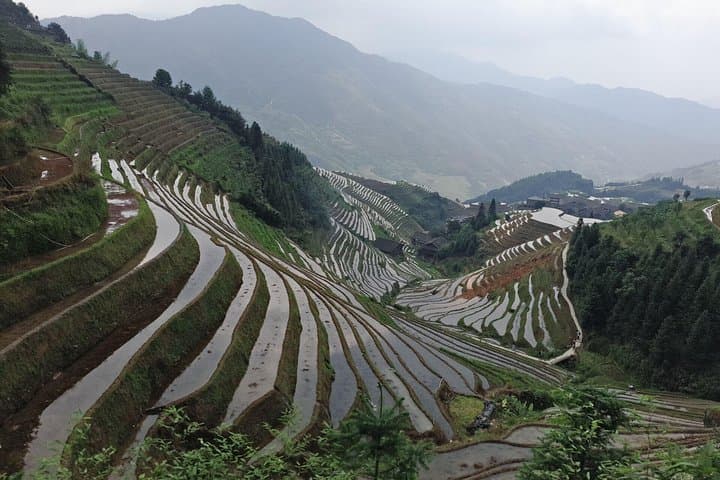 Dragon's Backbone: Longji Rice Terraces Day Tour from Yangshuo photo 3