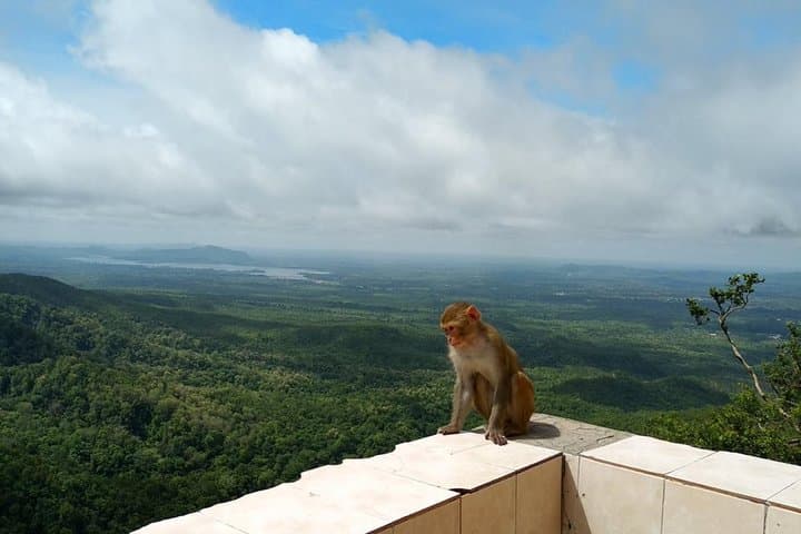 Bagan to Mount Popa: 777-Step Day Trip to Mt Popa National Park photo 2