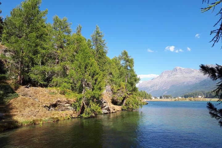 Sunny-Side Panorama Hike in St. Moritz — Guided Engadine Views & Romansh Culture photo 3