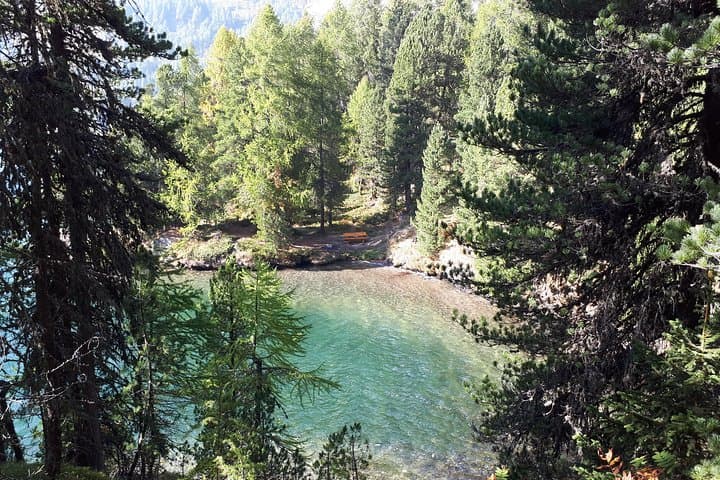 Sunny-Side Panorama Hike in St. Moritz — Guided Engadine Views & Romansh Culture photo 6