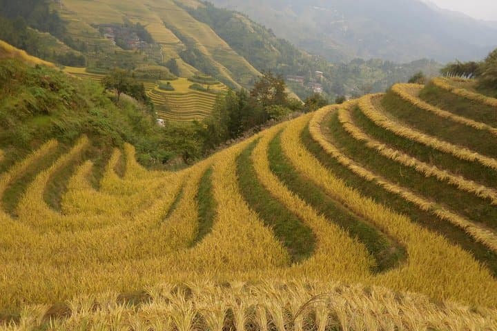 Longji Rice Terraces Day Tour: Ping'an & Dazhai Villages photo 3