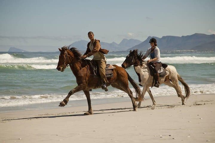 Walker Bay Beach Ride: De Kelders Whale-Watching Horseback Experience
