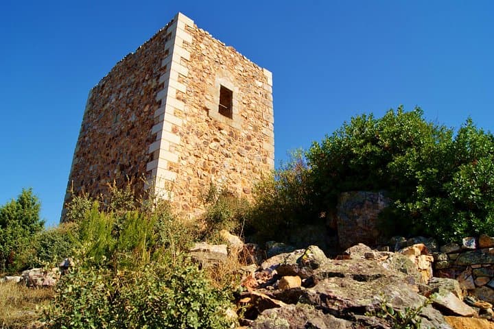 Full-Day Bird Watching at Portas de Ródão from Lisbon — Boat Cruise & Lunch photo 3