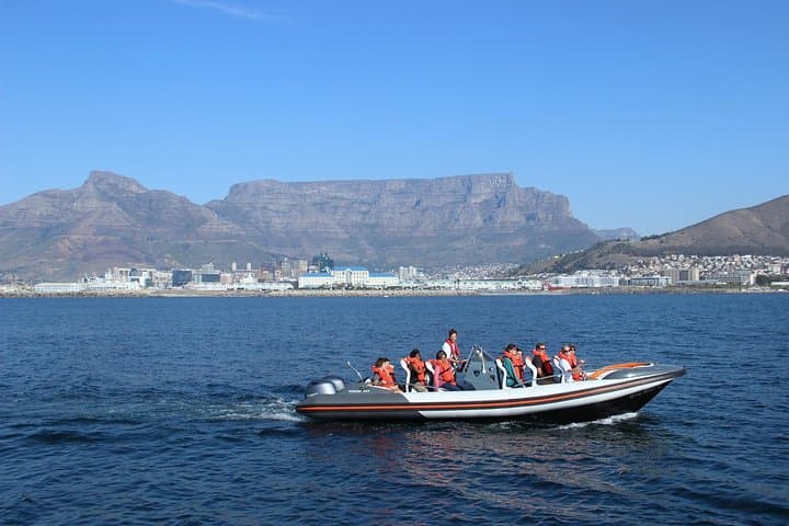 Cape Town Marine Wildlife Cruise and City PM Combo Tour photo 2