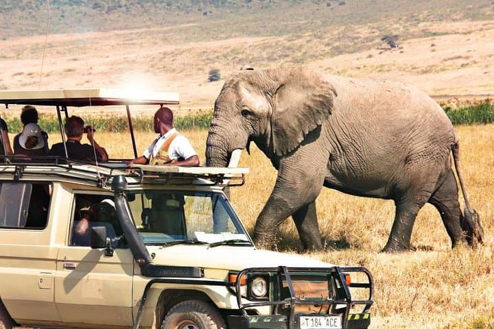 21-Day Kenya & Tanzania: Machame Kilimanjaro, Masai Mara Safari & Diani Beach Escape photo 2