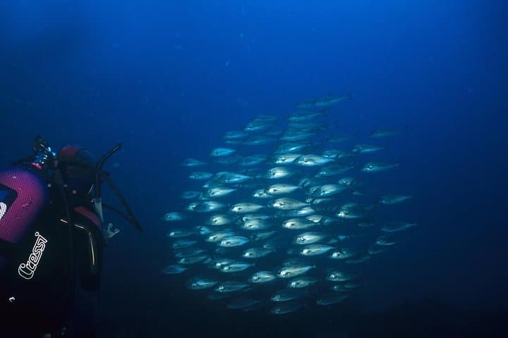 Introductory Scuba Diving in Crete: Guided Mediterranean Open-Water Experience photo 2
