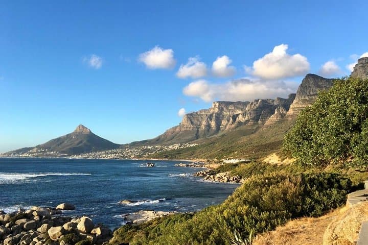 Cape Town Combo: Marine Wildlife Cruise and Cape Point Afternoon Tour photo 4