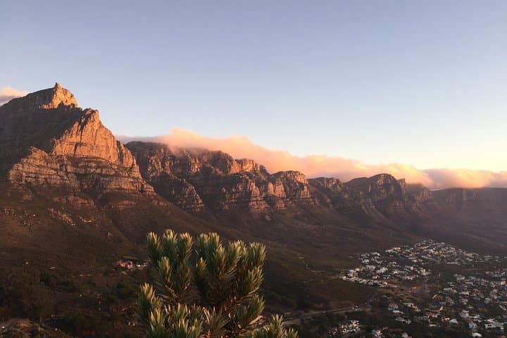 Cape Town Combo: Marine Wildlife Cruise and Cape Point Afternoon Tour photo 6