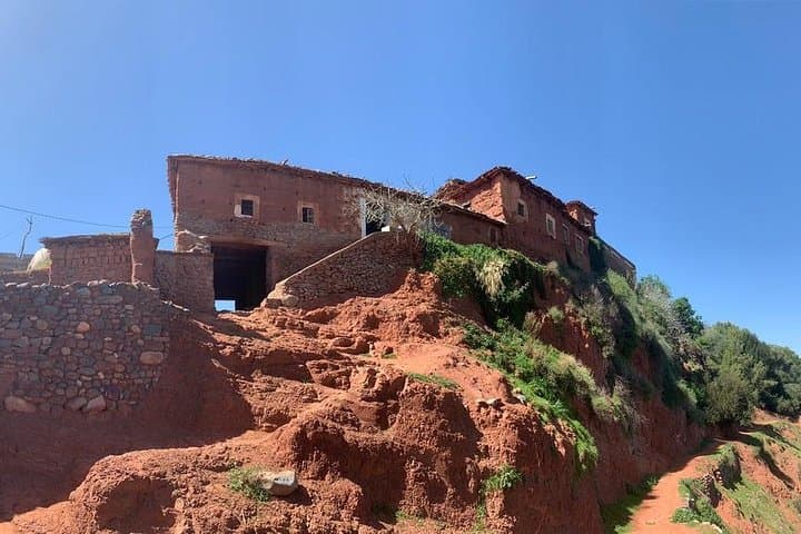 Ouirgane Mule Trek: Day Hike through Berber Villages & Olive Terraces photo 3