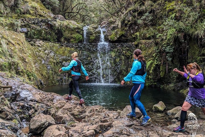 Green Levada Running Tour — Poiso to Levada do Furado 14km Loop photo 2