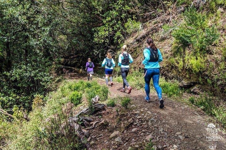 Green Levada Running Tour — Poiso to Levada do Furado 14km Loop photo 5