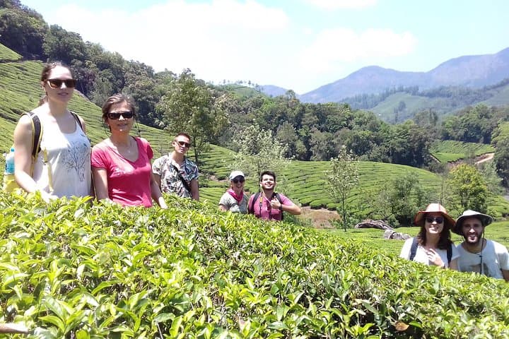 Munnar Full-Day Hike: Lekshmi Hills to Pothamedu Ridge photo 3