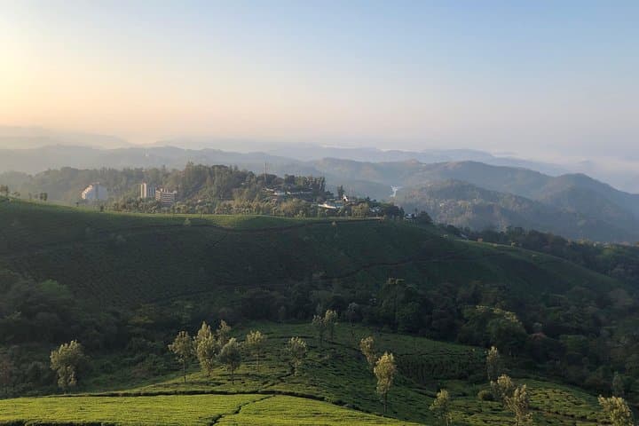 Munnar Full-Day Hike: Lekshmi Hills to Pothamedu Ridge photo 4