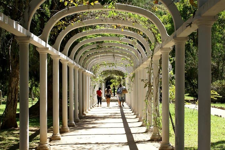 Exploring Rio’s Botanical Garden: Guided Tour of Jardim Botânico photo 3