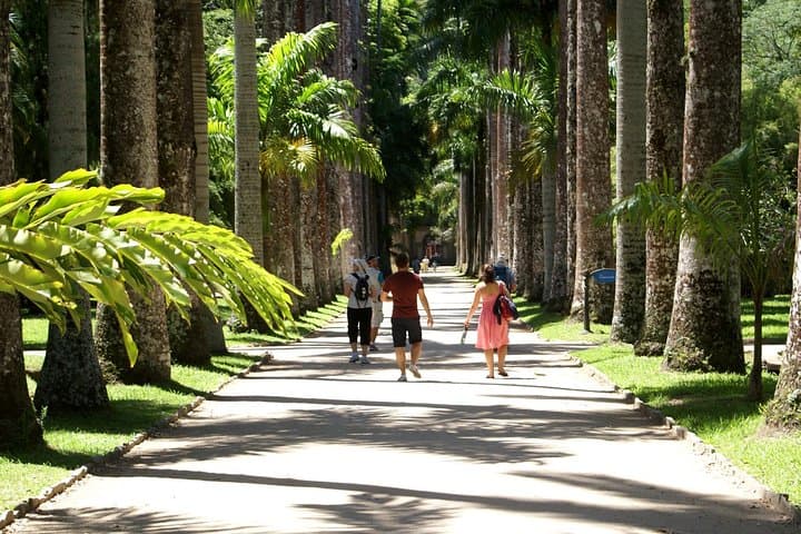 Exploring Rio’s Botanical Garden: Guided Tour of Jardim Botânico photo 5