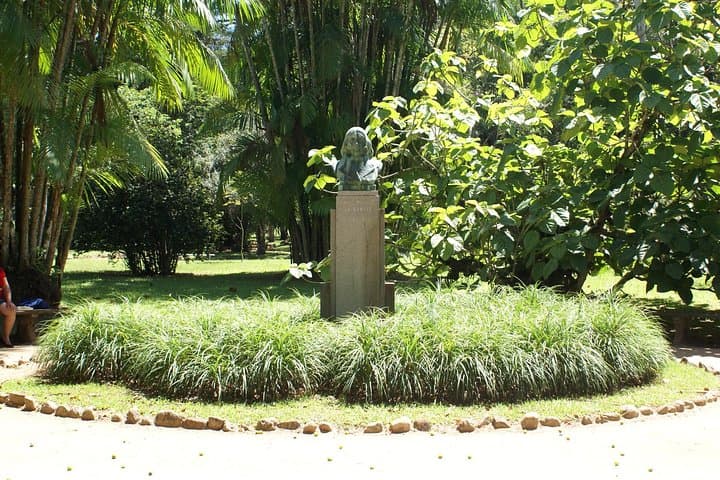 Exploring Rio’s Botanical Garden: Guided Tour of Jardim Botânico photo 6