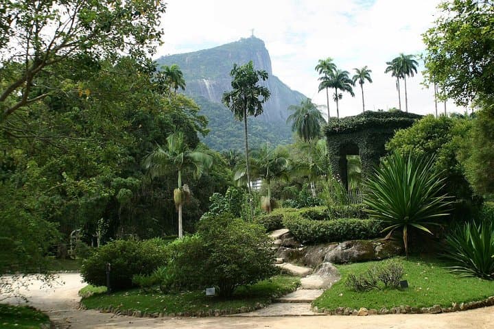 Exploring Rio’s Botanical Garden: Guided Tour of Jardim Botânico