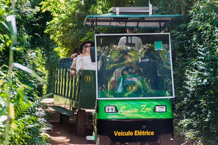 Brazilian Side of Iguazu Falls: Panoramic Views & Optional Boat Ride photo 6