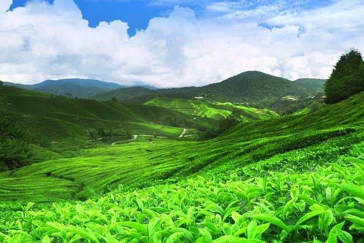 Kandy to Nuwara Eliya: 2-Day Hill Country Tour from Colombo photo 3