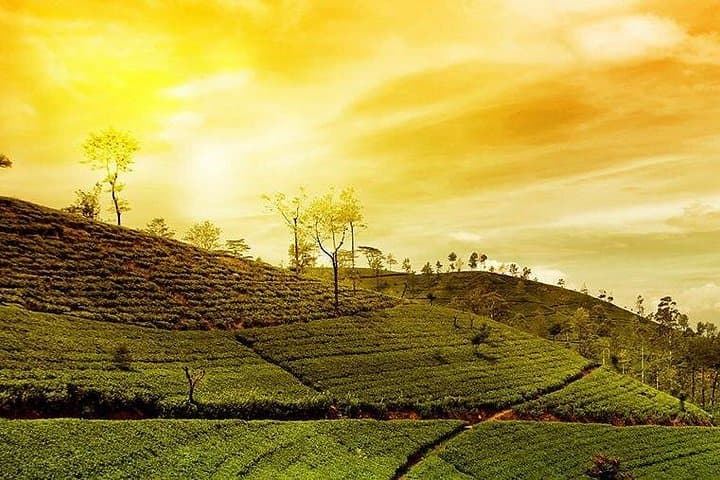 Kandy to Nuwara Eliya: 2-Day Hill Country Tour from Colombo photo 4