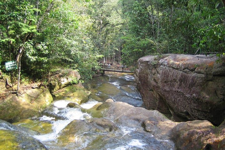 Presidente Figueiredo Waterfalls Day Trip from Manaus – Iracema & Sanctuary Falls photo 1