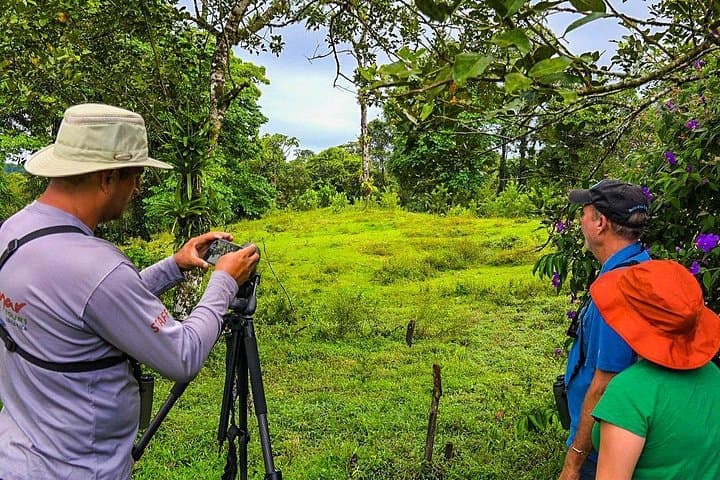Early Morning Bird Watching at Arenal Volcano — La Fortuna Guided Tour photo 2