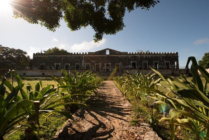 Uxmal, Yaxcopoil Hacienda & Cenote Day Trip from Mérida — Mayan Architecture and a Swim in a Sacred Sinkhole