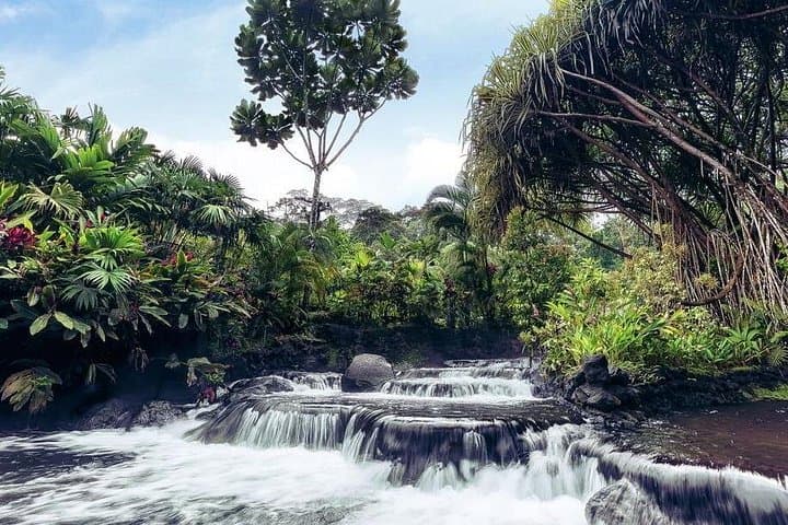Arenal Volcano & Tabacón: 2-Day Hot Springs Escape from San José photo 6