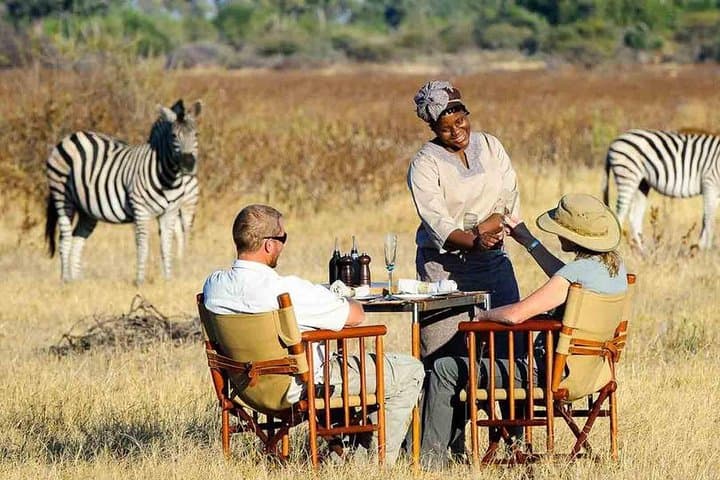 Cape Town to Aquila Full-Day Safari — Big Five Game Drive & Ceres Fruit Valley photo 5