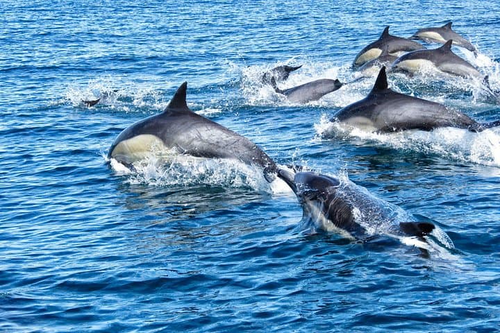 San Diego Bay Sailing Charter: Private 2-Hour Cruise for Up to 6 Guests photo 4