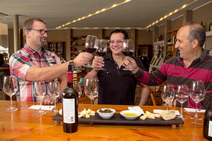 Private Viña del Mar & Valparaíso Day Tour with Casablanca Valley Wine Tasting photo 3