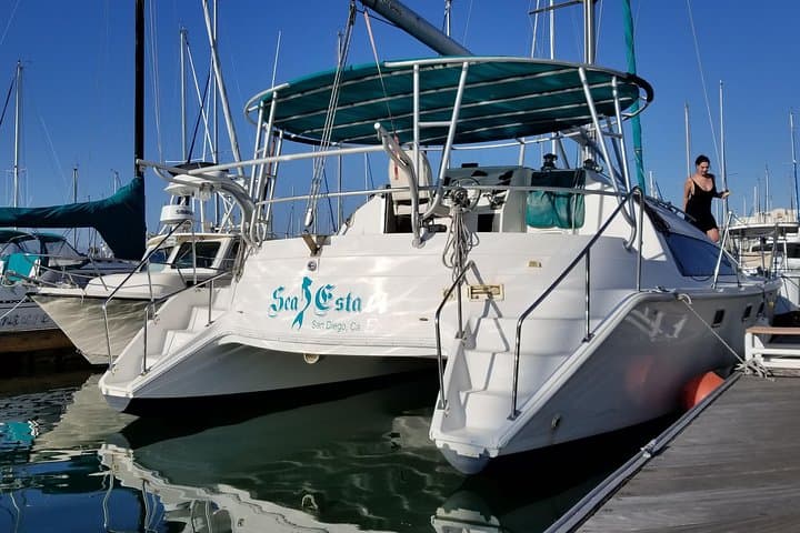 Private Catamaran Cruise on San Diego Bay — Small-Group Harbor & Whale Watching photo 3