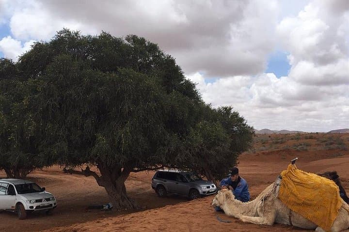 Coastal Dunes & Silver Markets: 4x4 Massa and Tiznit Day Trip from Agadir photo 3