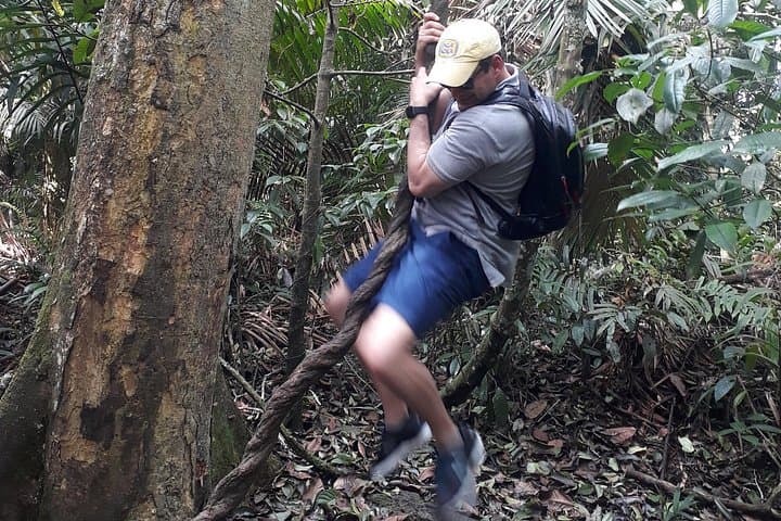 Soberanía National Park Hike — Pipeline Road Jungle Walk & Panama Canal Sights photo 1