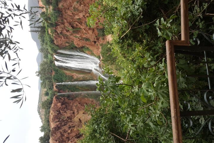 Day Trip to Ouzoud Waterfalls from Marrakech: Swim, Monkeys & Berber Villages photo 5